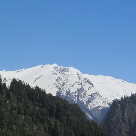Manali Top Inn Exterior photo