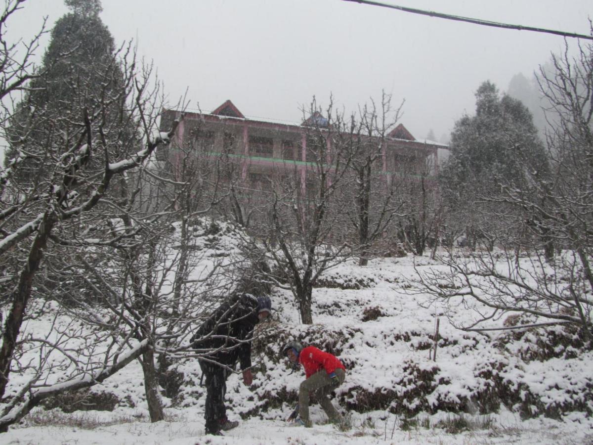 Manali Top Inn Exterior photo